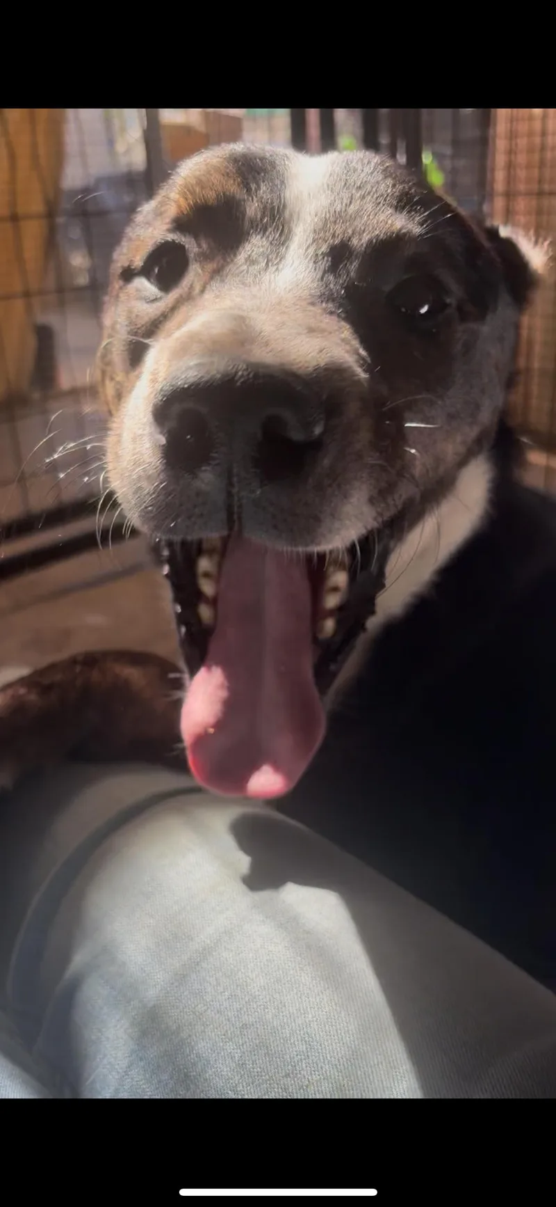 Scrabble thumbnail 6