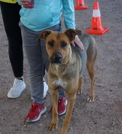 Carrot Cake thumbnail 3