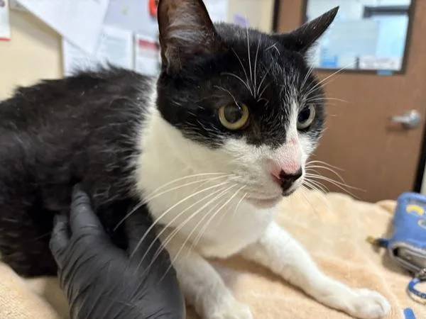 Christopher thumbnail 3