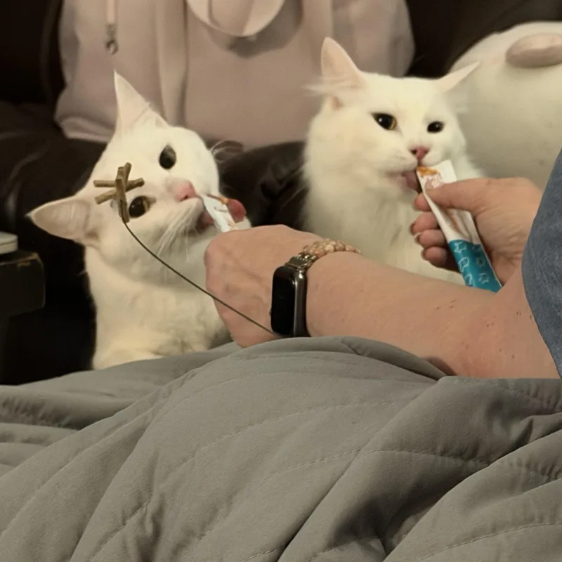 Ghost and Aang thumbnail 4