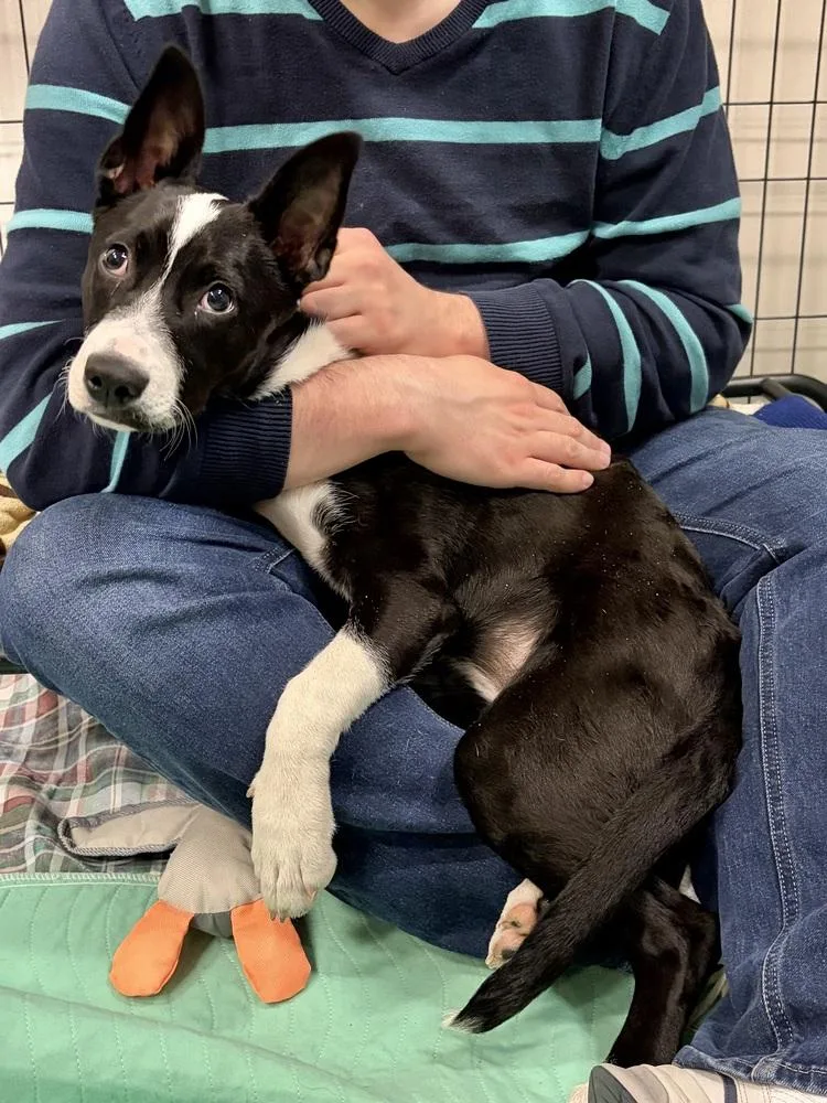 Daisy Claire thumbnail 4