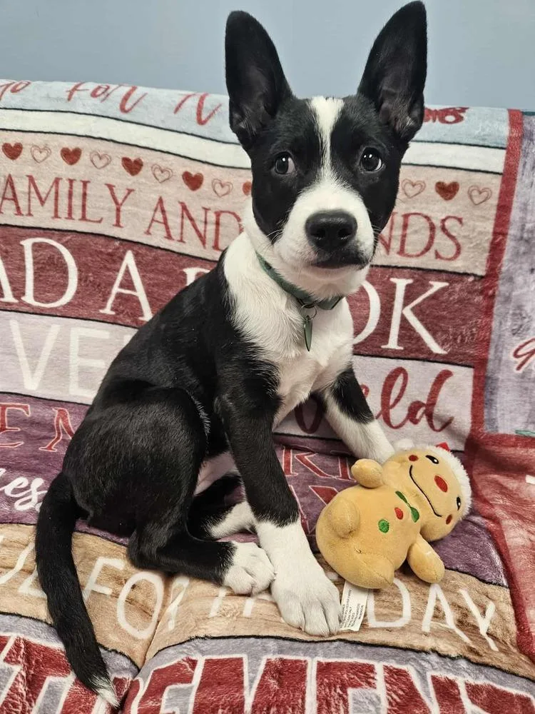 Daisy Claire thumbnail 5