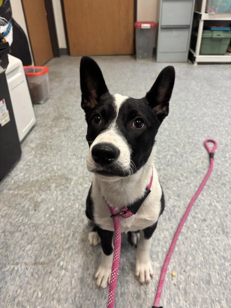 Daisy Claire thumbnail 6