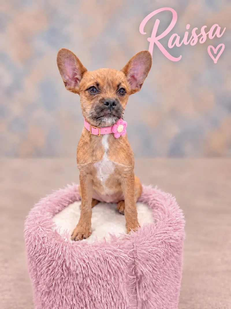 Raissa thumbnail 3