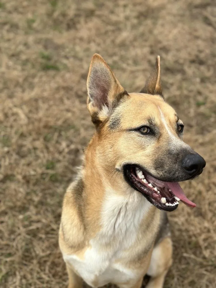 Kingston thumbnail 2