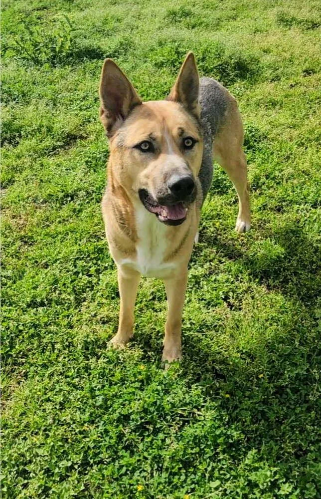 Kingston thumbnail 3