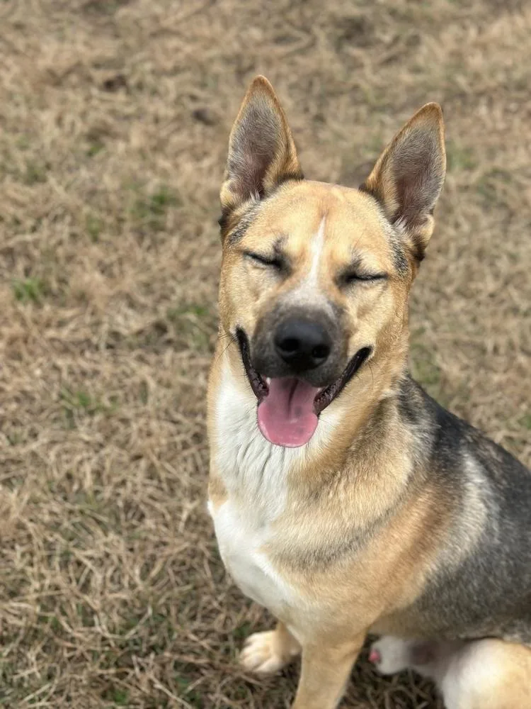 Kingston thumbnail 4