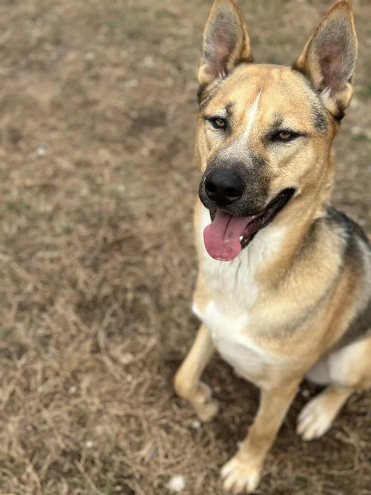 Kingston thumbnail 5