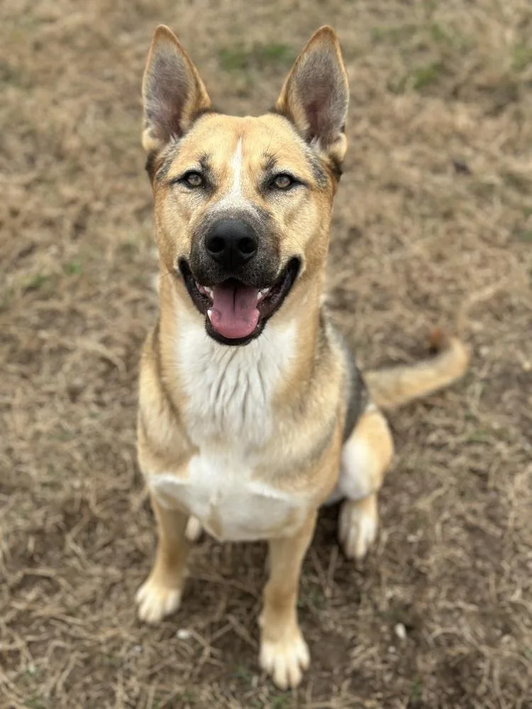 Kingston thumbnail 6