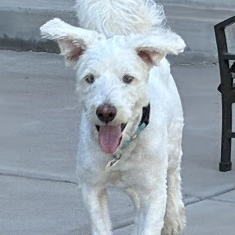 Murphy thumbnail 3