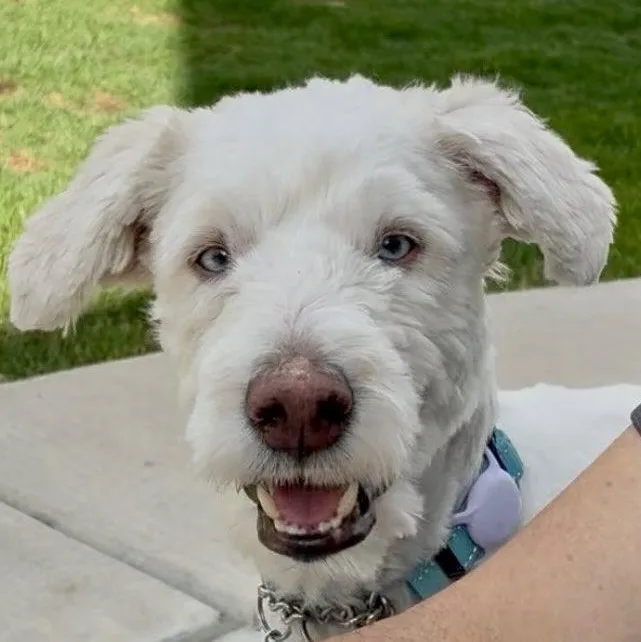 Murphy thumbnail 4