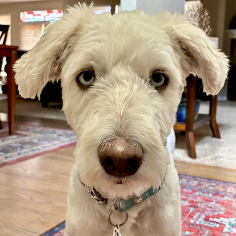 Murphy thumbnail 6