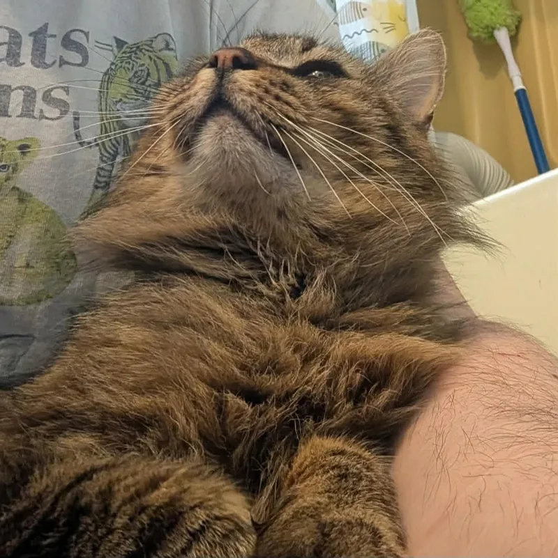 Murphy thumbnail 5