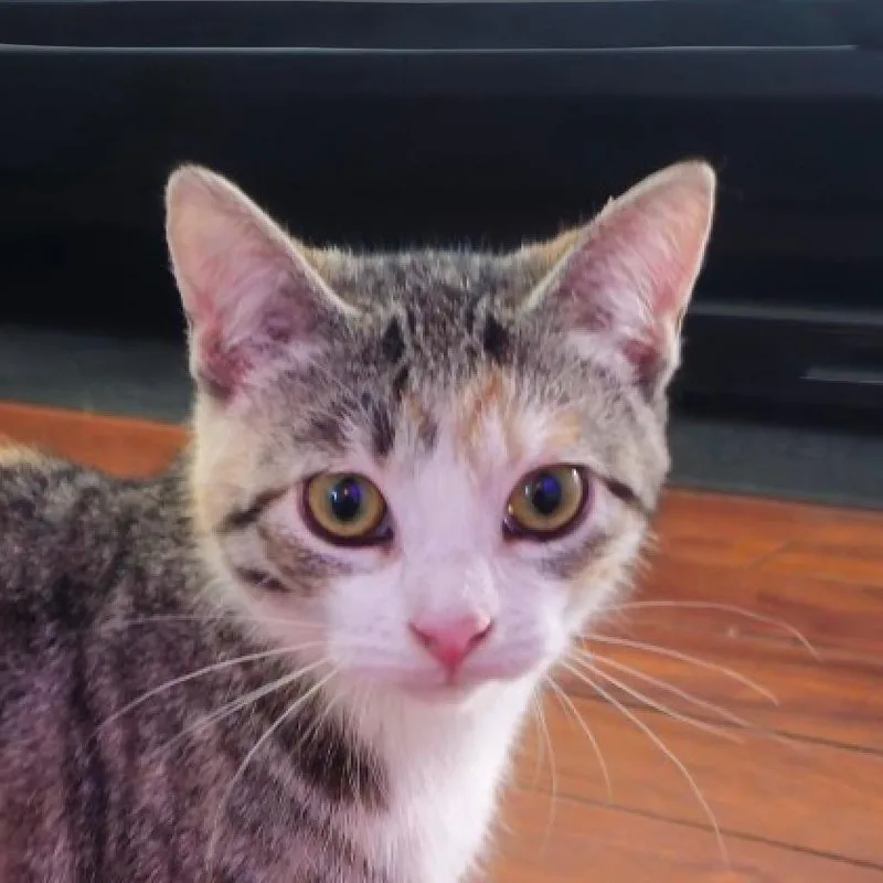 Margarita Mckenzie thumbnail 2