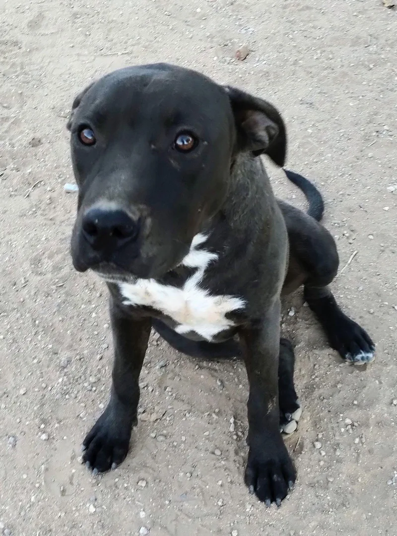 Brad Pitt thumbnail 2