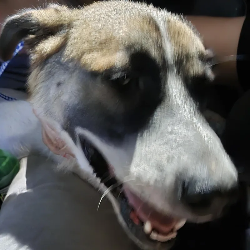 Miss Coconut thumbnail 3