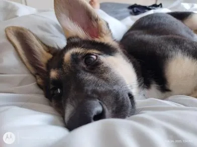 Lulu thumbnail 6