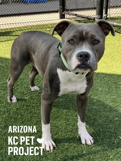 Arizona thumbnail 2