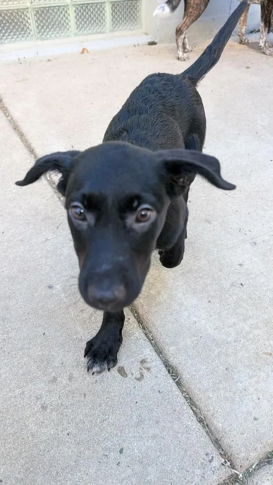 Millie