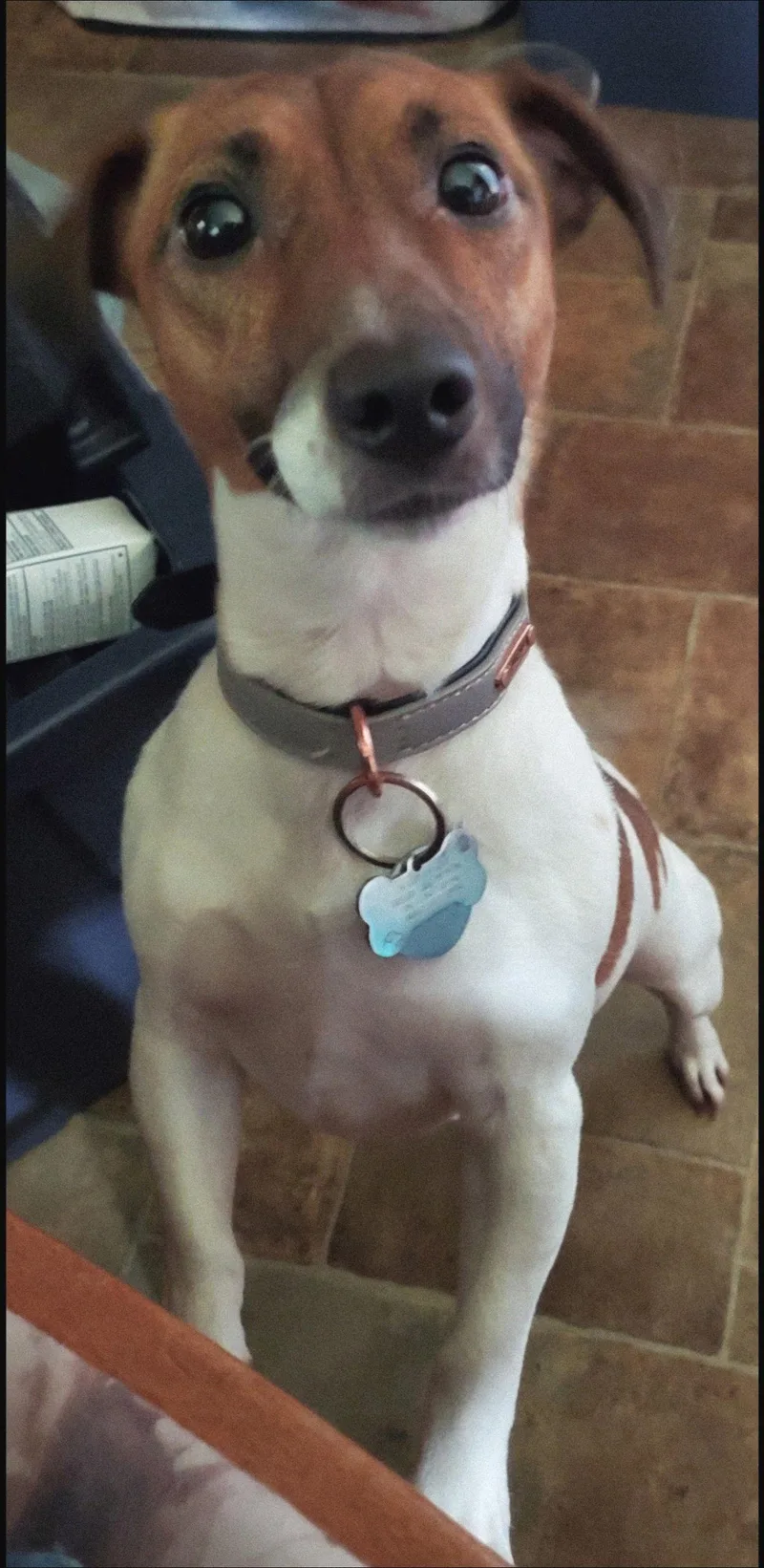 Creole Girl thumbnail 2