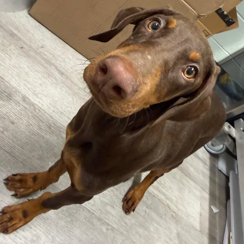 Brooklyn "brooke" thumbnail 2