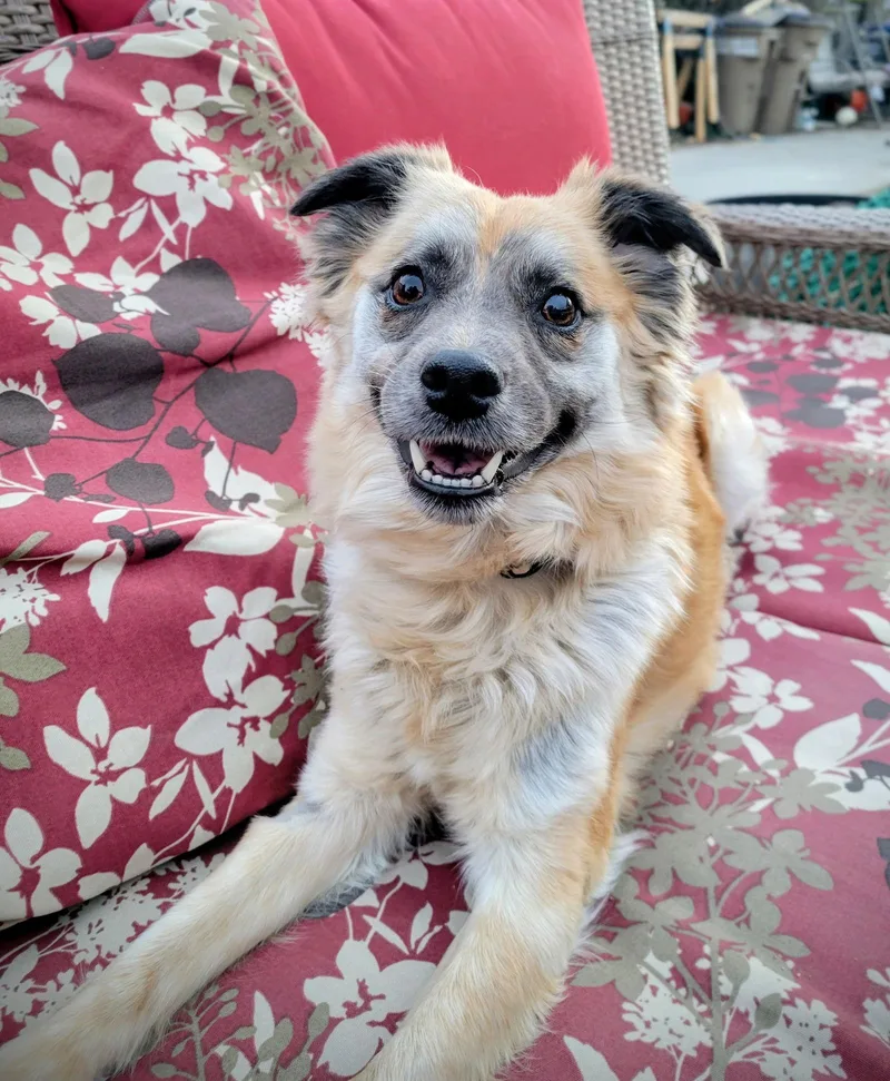 Ember Ash thumbnail 2