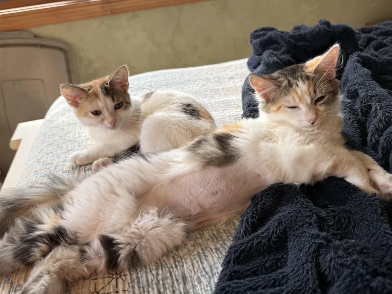 Marge & Selma thumbnail 2