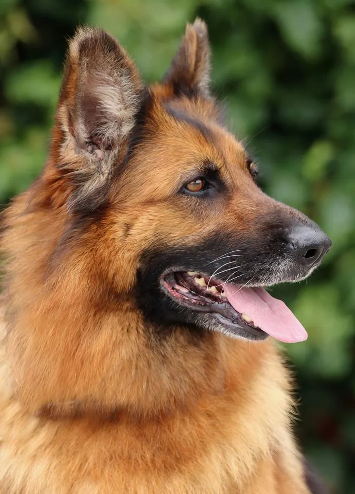 Kiara Von Konz thumbnail 5