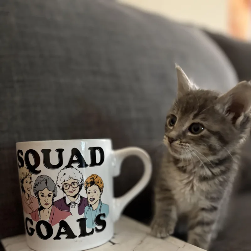 Cougar thumbnail 5