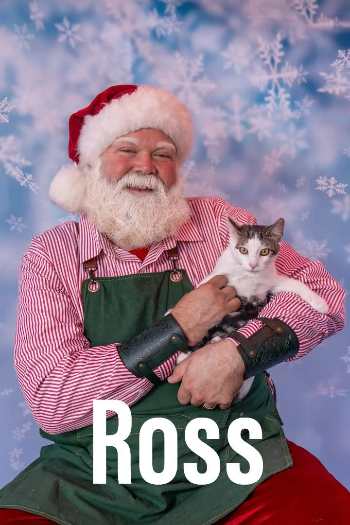 Ross thumbnail 6