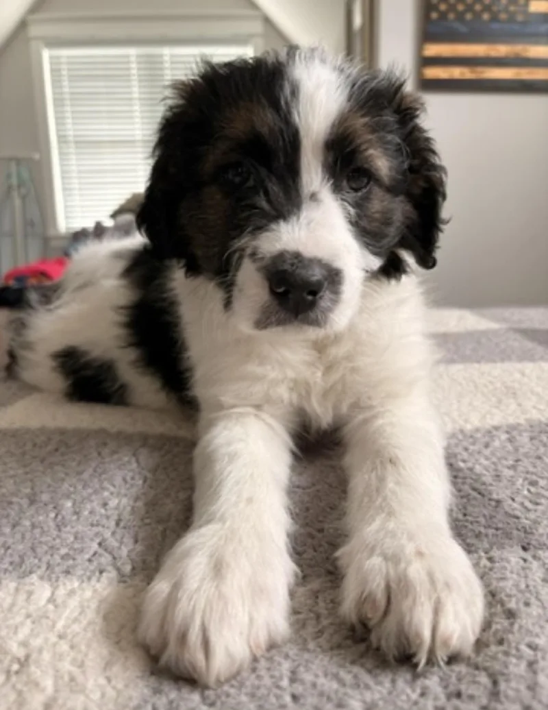 Christin thumbnail 2