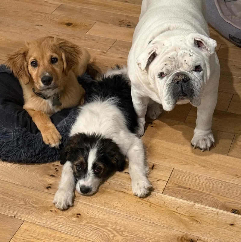 Christin thumbnail 5