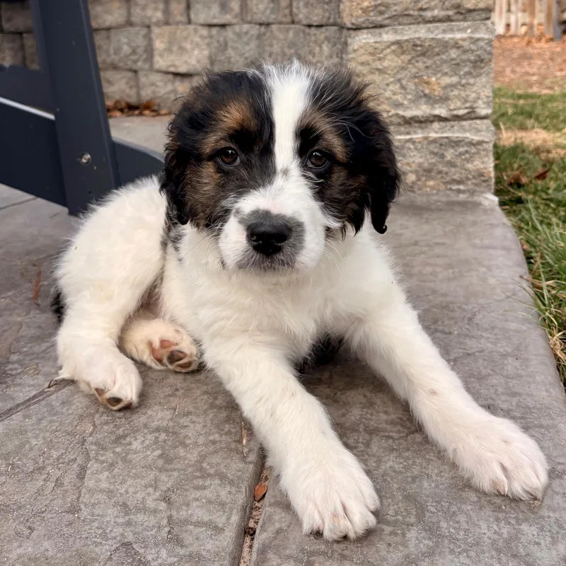 Christin thumbnail 6