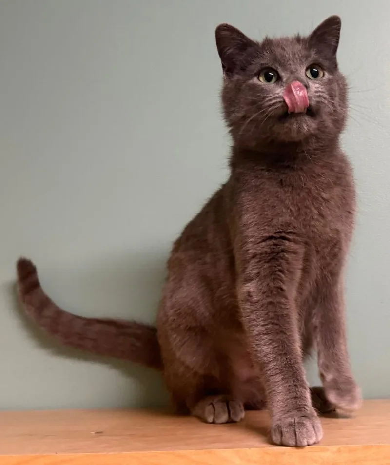 Kourtney thumbnail 2