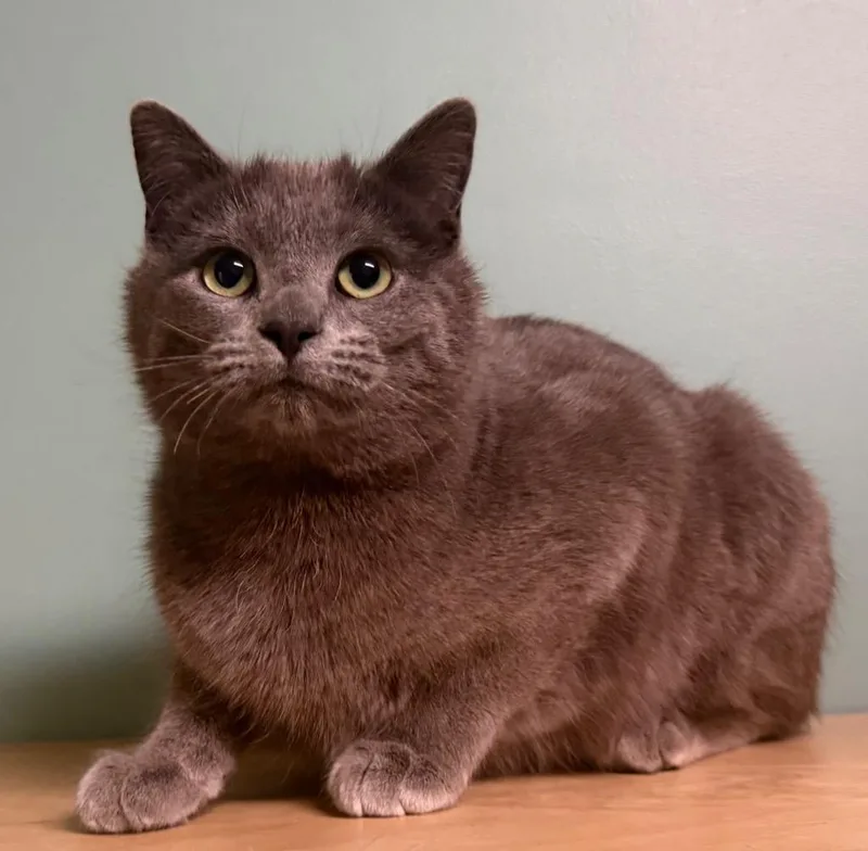 Kourtney thumbnail 3