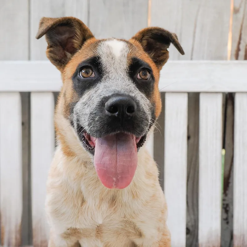 Bridgette thumbnail 3