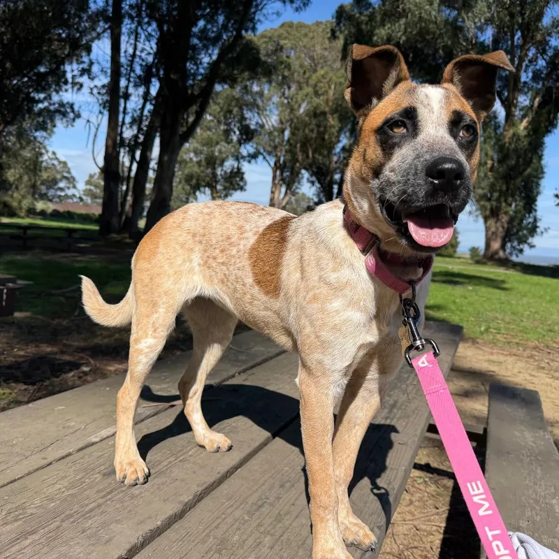 Bridgette thumbnail 4