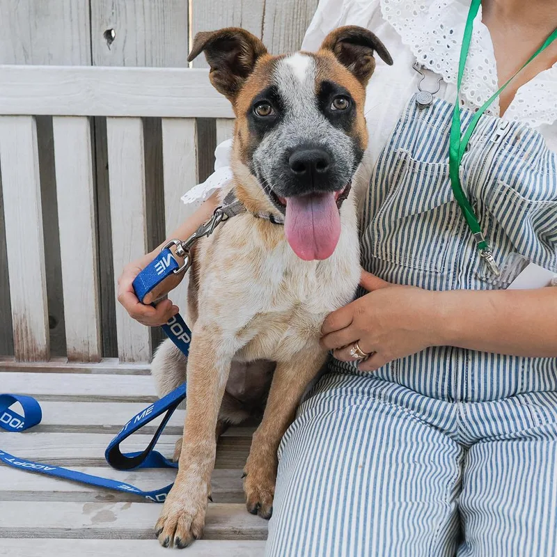 Bridgette thumbnail 6