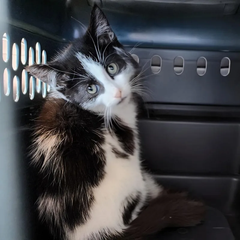 Moona Lisa thumbnail 2