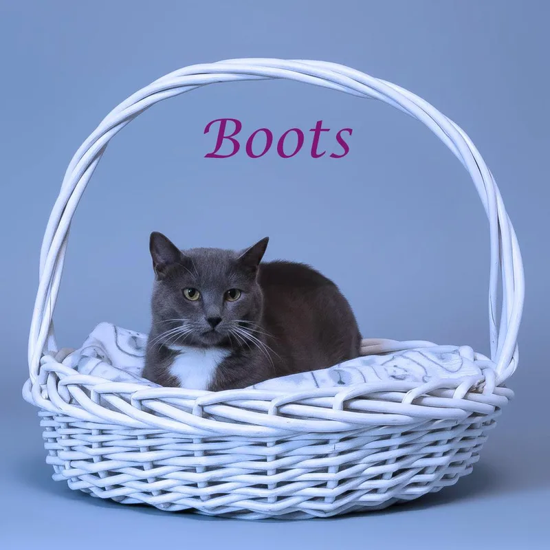 Boots C