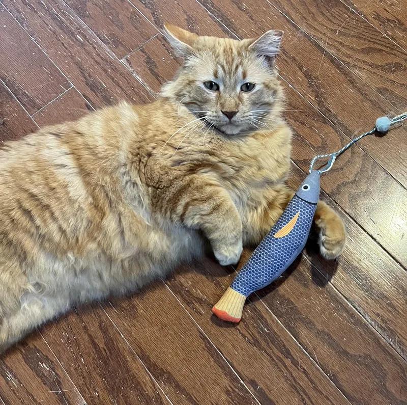 Rubber Ducky thumbnail 2