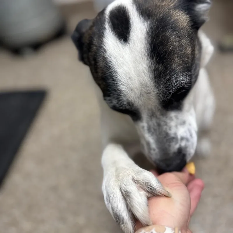 Mercury Jones thumbnail 3