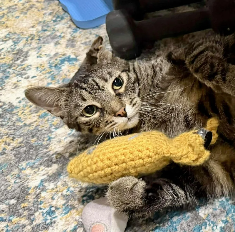 Reba  Sweetest Girl thumbnail 4