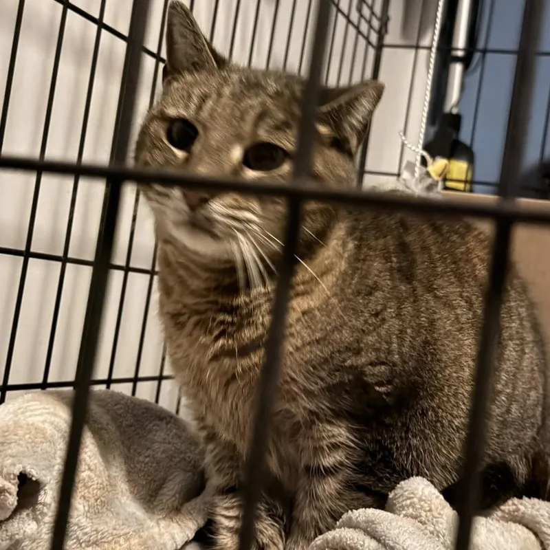 Jelly Queen thumbnail 2