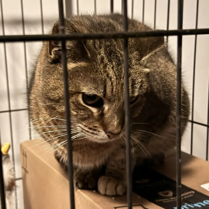 Jelly Queen thumbnail 3