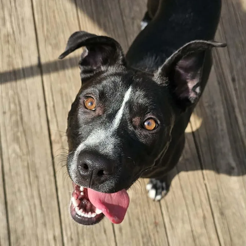 Chloe