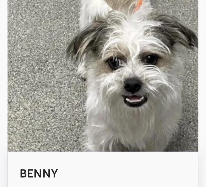 Benny
