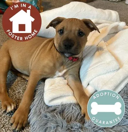 Poptropica thumbnail 2