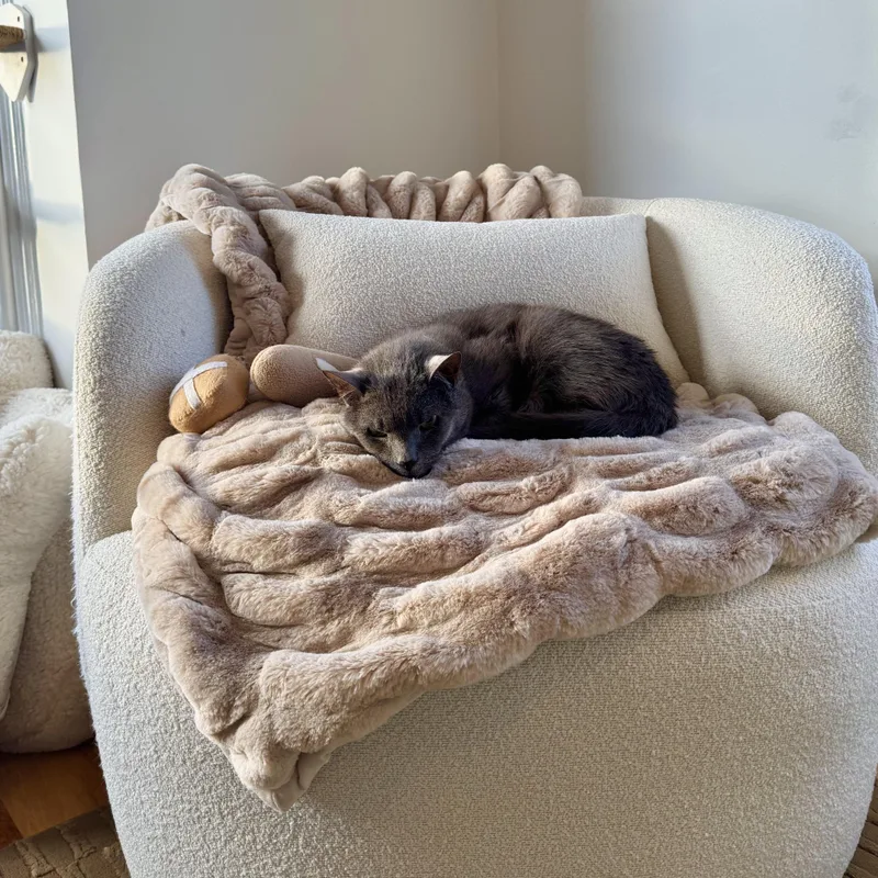 Ghost And Sheldon thumbnail 4