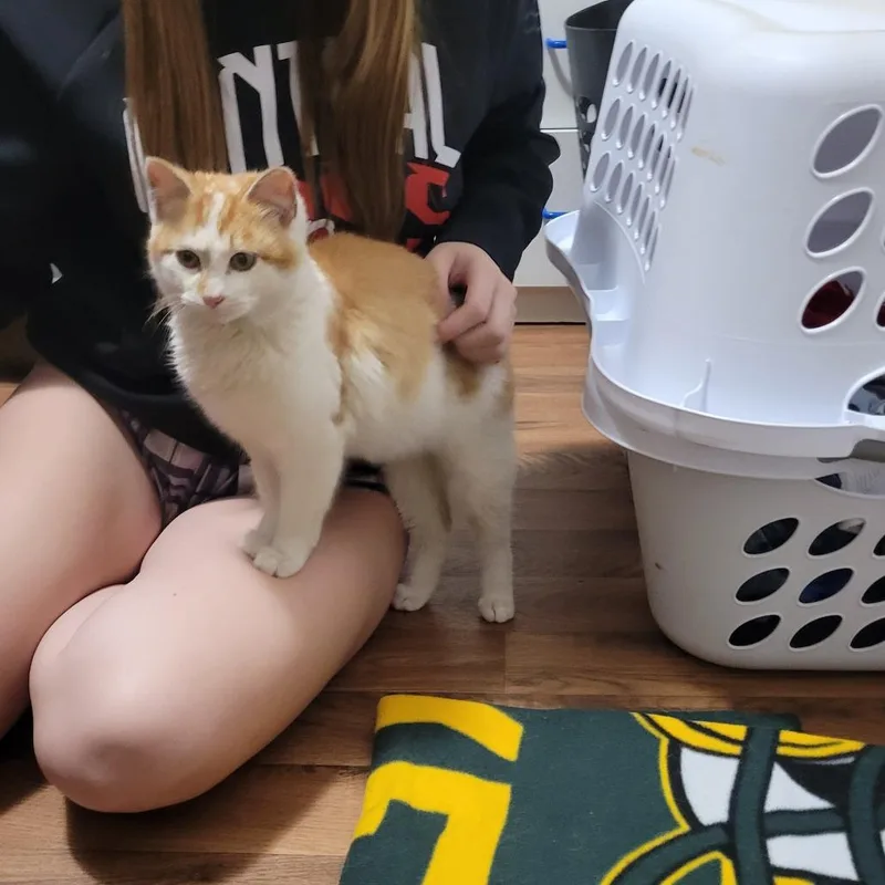 Mr. Chester thumbnail 5